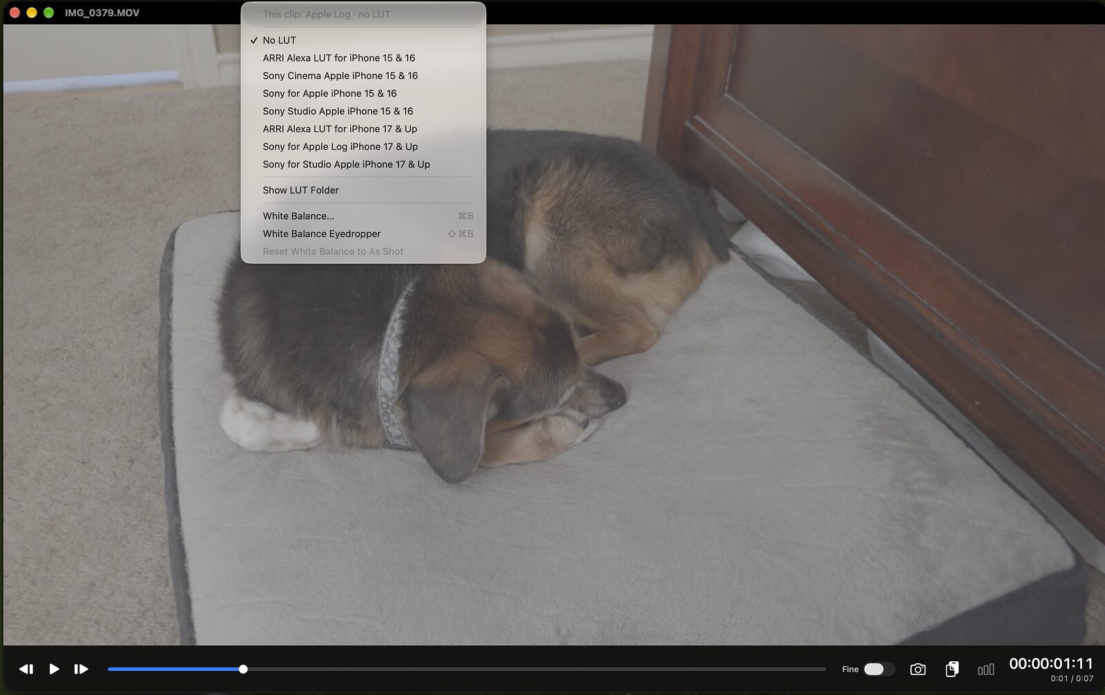 An Apple Log clip played flat with no LUT, the menu showing This clip: Apple Log, no LUT