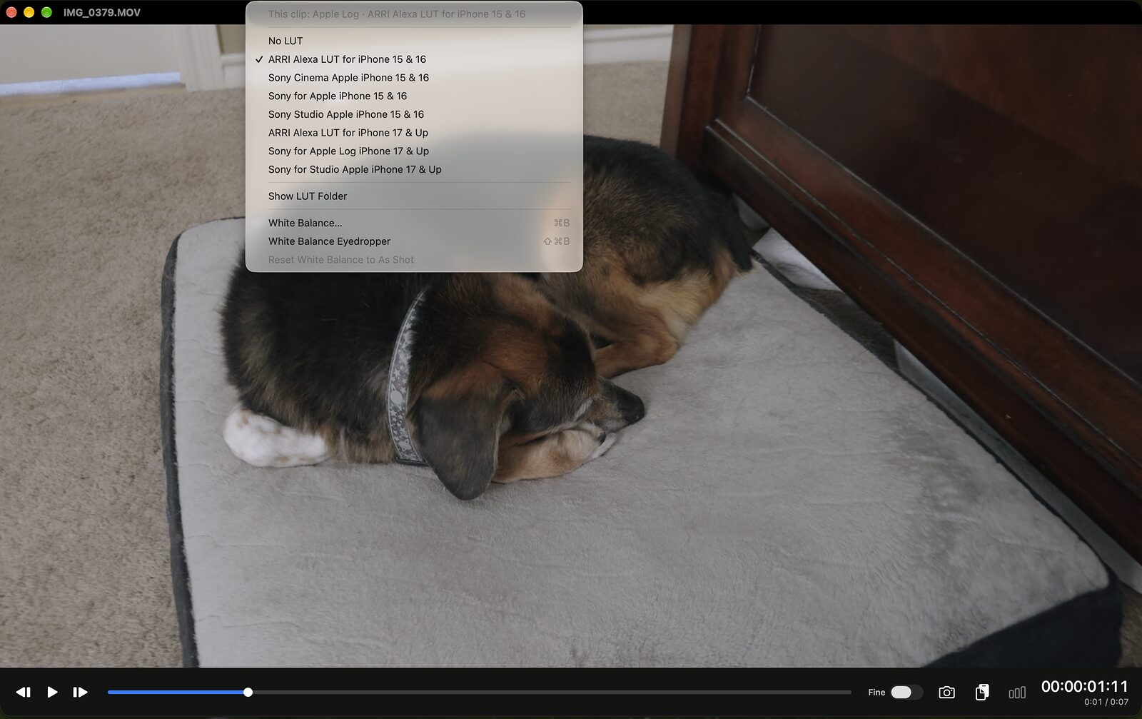 The same Apple Log frame with a LUT applied, the menu listing the built-in looks for iPhone 15 and 16 and for iPhone 17 and up